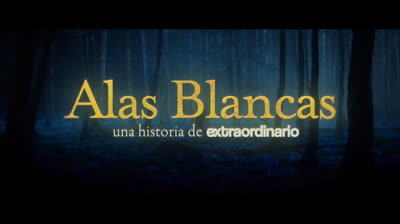 Tráiler de “Alas Blancas: Una historia de Extraordinario”