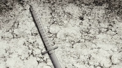 Ushiwakamaru Noble Phantasm