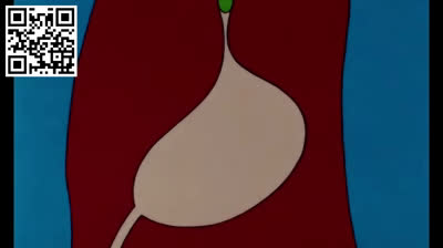 15 La digestión. Érase una vez la vida.