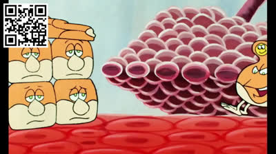 19 Los huesos y el esqueleto. Érase una vez la vida.