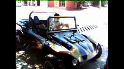 EL  BUGGY DE TIPO
