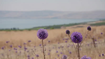 Иисус | Jesus - 5 Серия (озвучка CreenРай)