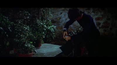 Enter The Dragon (1973)
