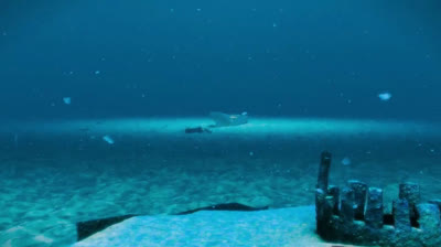 Regreso al Titanic (2020)