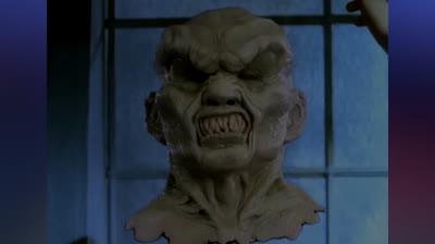 REMEMBER GOOSEBUMPS 1995-1998